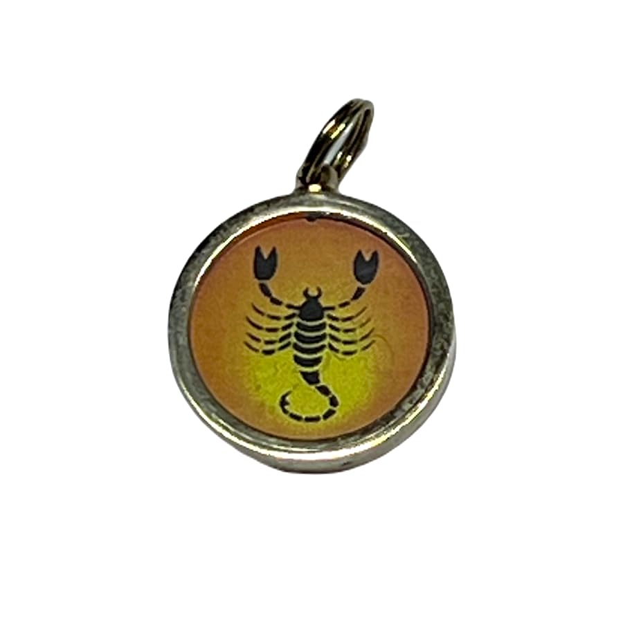 Zodiac Constellation Pendant Necklace - Sun Sign Amulet - Rashi Yantra Pendant - 1 Inch Brass Pendant with Zodiac Yantra