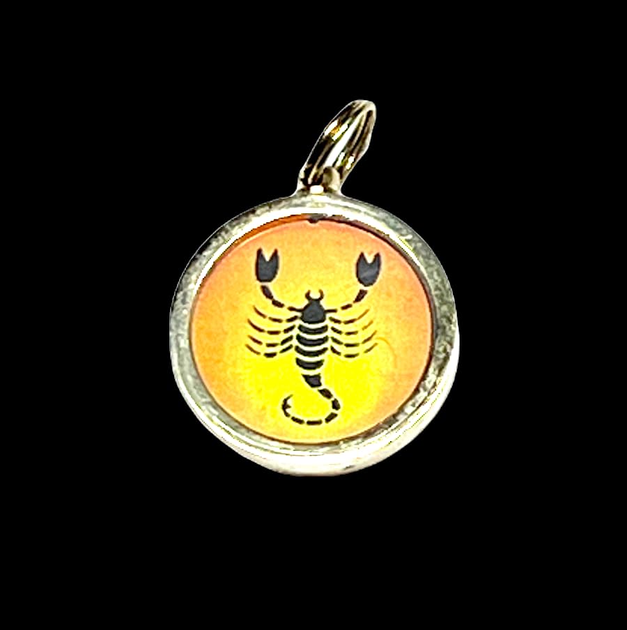 Zodiac Constellation Pendant Necklace - Sun Sign Amulet - Rashi Yantra Pendant - 1 Inch Brass Pendant with Zodiac Yantra