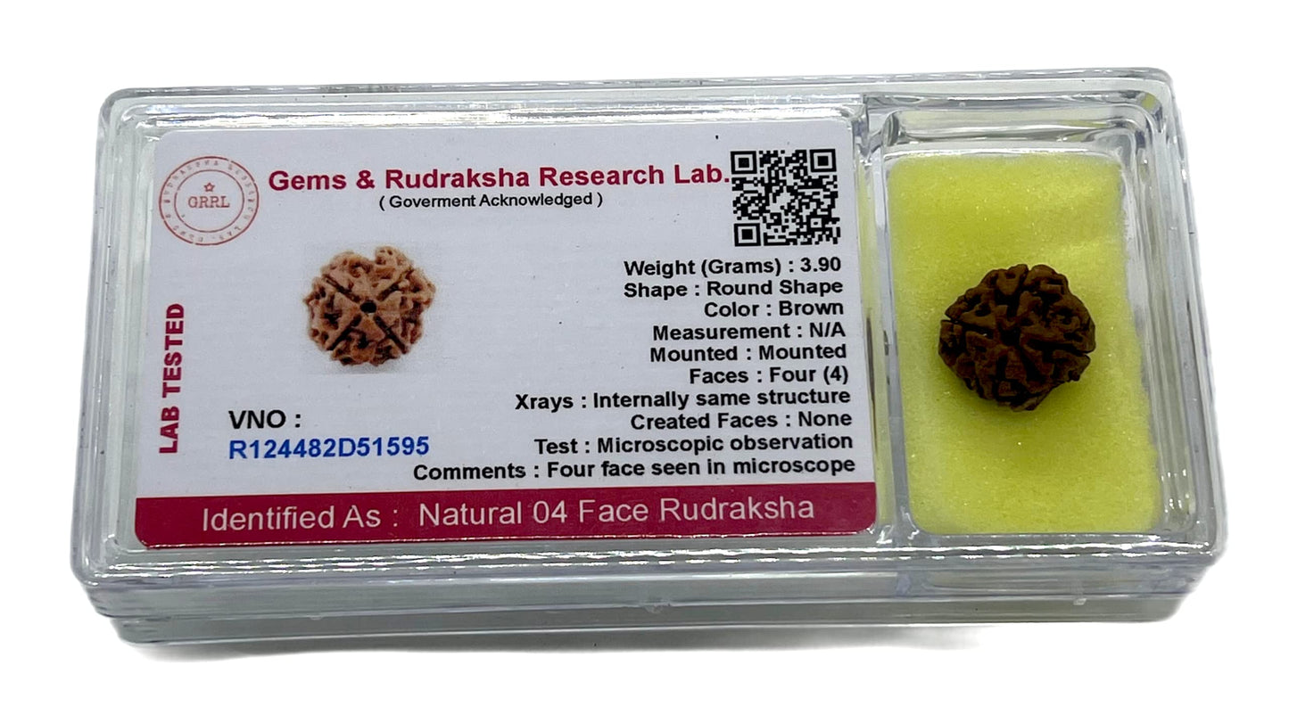 Certified 4 Mukhi (Four Faces) Rudraksha Bead, Real Rudraksh, Throat Chakra, Universal Sun Sign