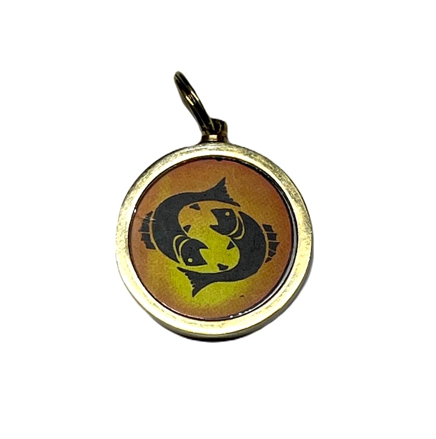 Zodiac Constellation Pendant Necklace - Sun Sign Amulet - Rashi Yantra Pendant - 1 Inch Brass Pendant with Zodiac Yantra