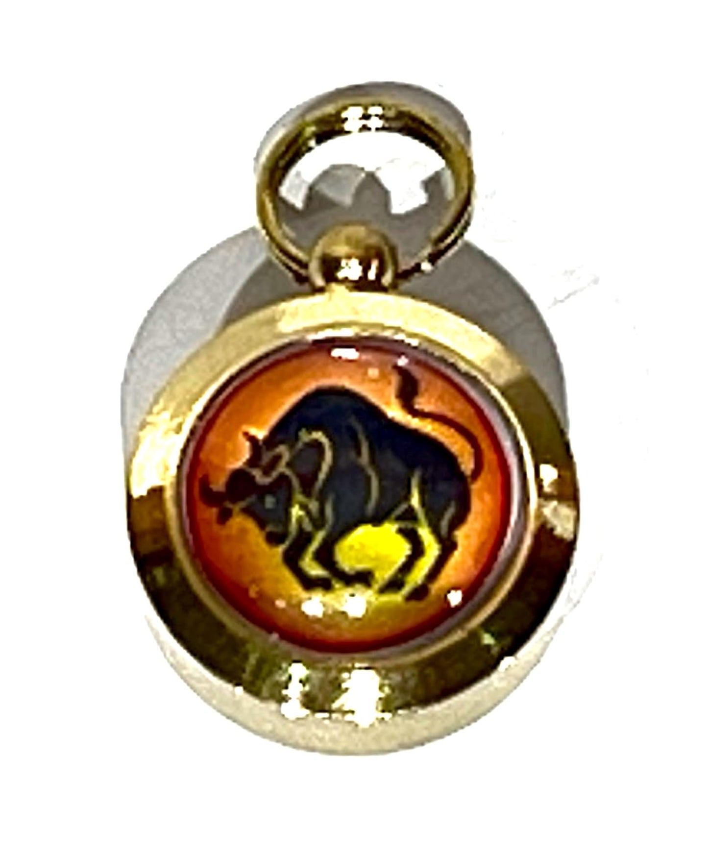 Zodiac Constellation Pendant Necklace - Sun Sign Amulet - Rashi Yantra Pendant - 3/4 Inch Brass Pendant with Zodiac Yantra