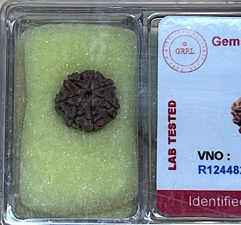 Empowering 7 Mukhi Rudraksha Bead, Universal Sun Sign, Root Chakra