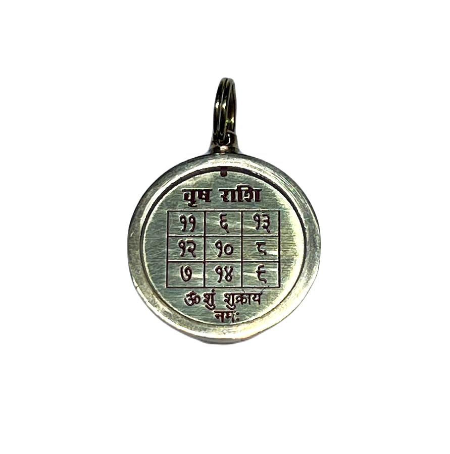 Zodiac Constellation Pendant Necklace - Sun Sign Amulet - Rashi Yantra Pendant - 1 Inch Brass Pendant with Zodiac Yantra