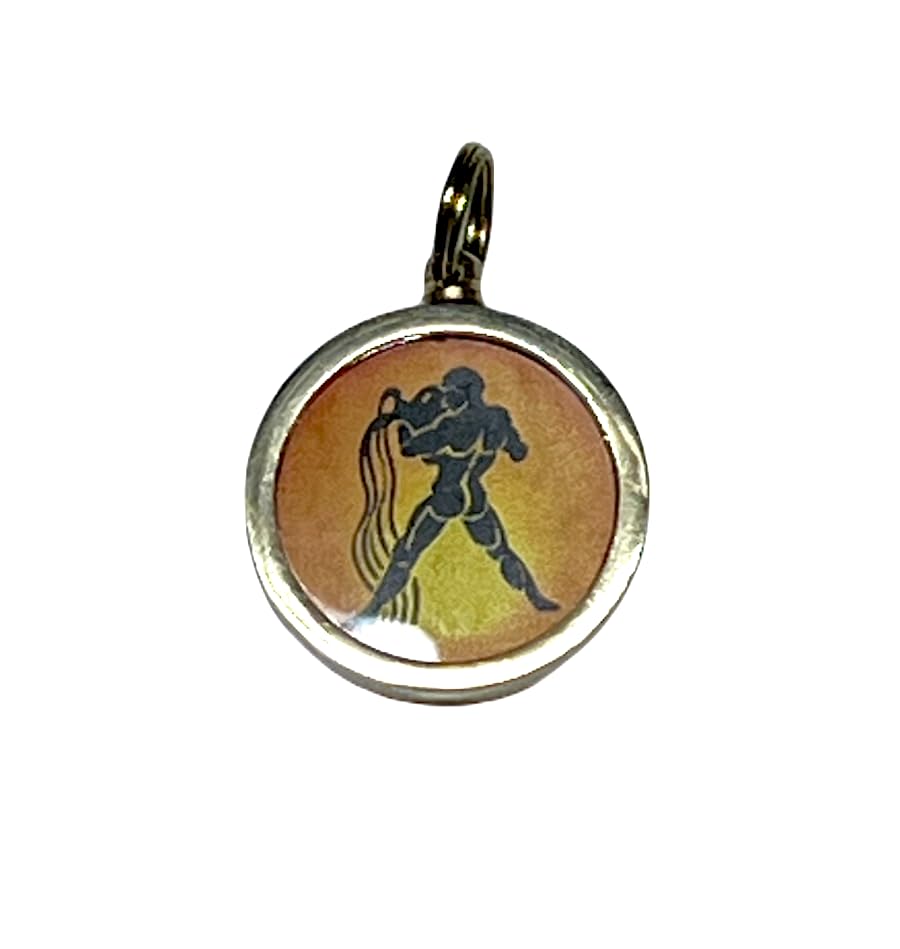 Zodiac Constellation Pendant Necklace - Sun Sign Amulet - Rashi Yantra Pendant - 1 Inch Brass Pendant with Zodiac Yantra