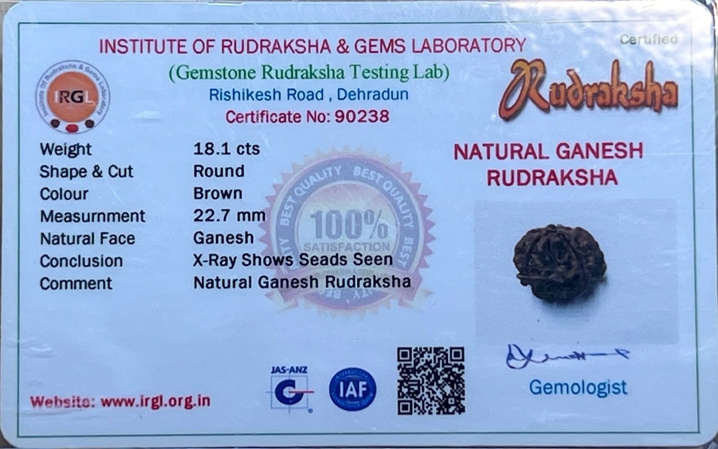 Divine Blessings Await – Certified Ganesha Rudraksha Bead - Universal Sun Sign - Root Chakra