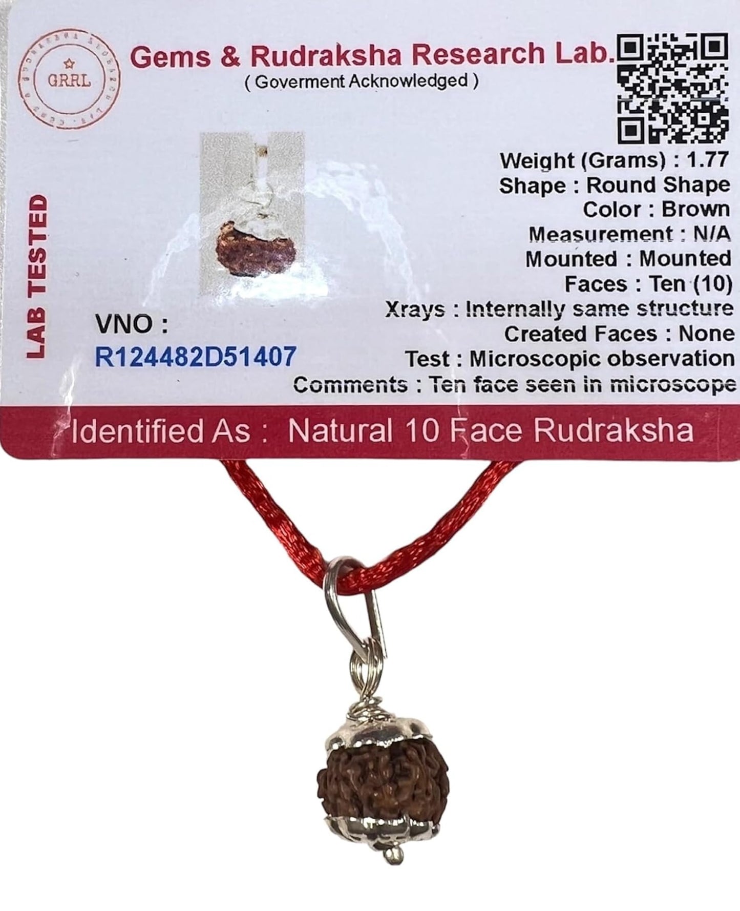 Certified 10 Mukhi Rudraksha Pendant Necklace (Ten Faces) - Embrace Strength & Harmony - Capricorn & Aquarius Birthstone - Solar Plexus Power