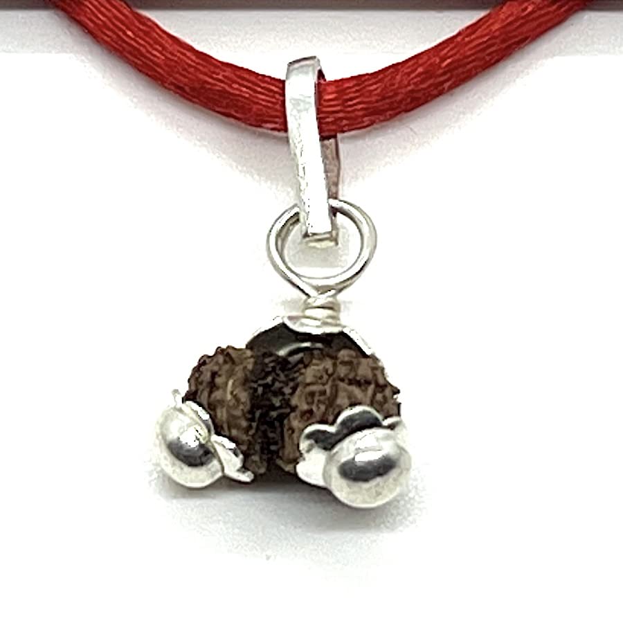 Unveiling Harmony & Balance: Handmade Certified Gauri Shankar Rudraksha Pendant Necklace