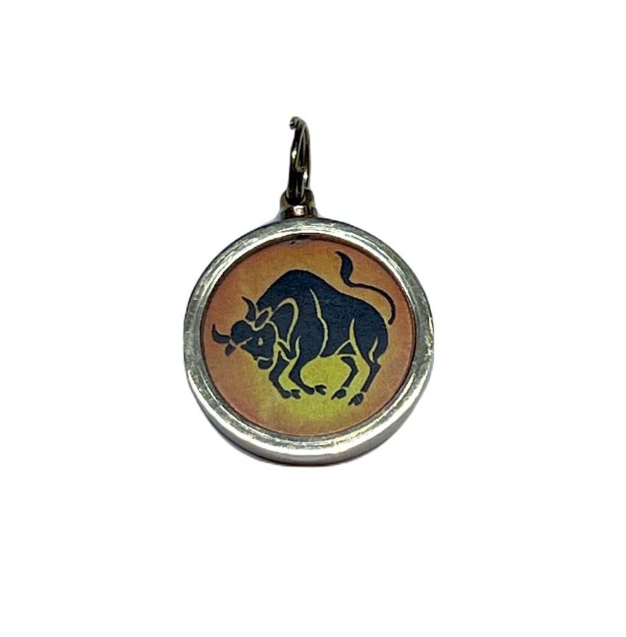 Zodiac Constellation Pendant Necklace - Sun Sign Amulet - Rashi Yantra Pendant - 1 Inch Brass Pendant with Zodiac Yantra