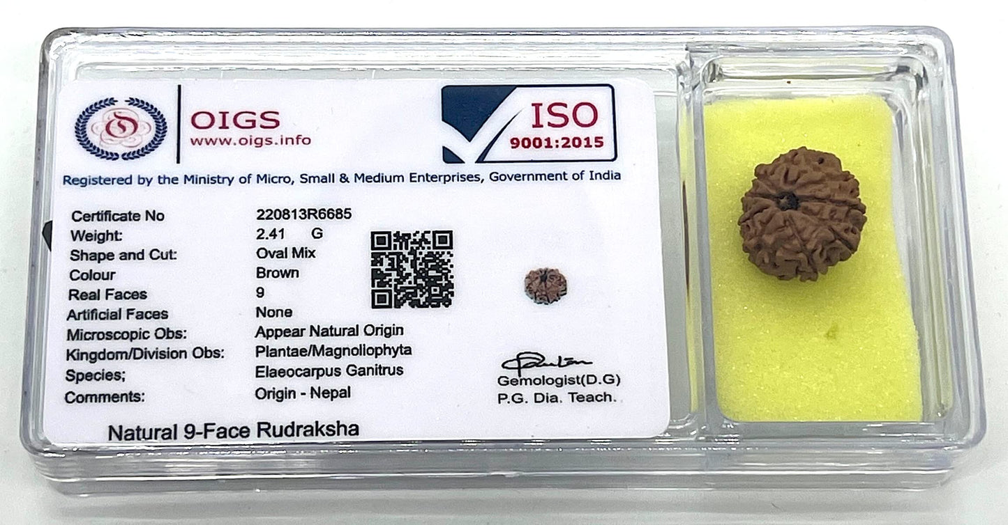 AwakenYourKundalini's Natural Rudraksha Beads (1,2,3,4,5,6,7,8,9,10,11,12,13,14 Faced) Original Rudraksha Beads Himalayan Origin Nepal Collections - Lab Certified - (9 Mukhi Faced)