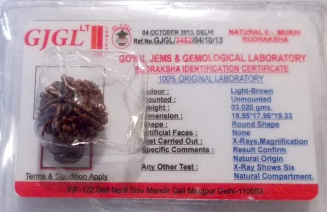 Certified 6 Mukhi Rudraksha Bead, Six Faces Rudraksh, Libra Sun Sign, Sacral Chakra