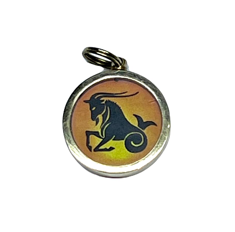 Zodiac Constellation Pendant Necklace - Sun Sign Amulet - Rashi Yantra Pendant - 1 Inch Brass Pendant with Zodiac Yantra
