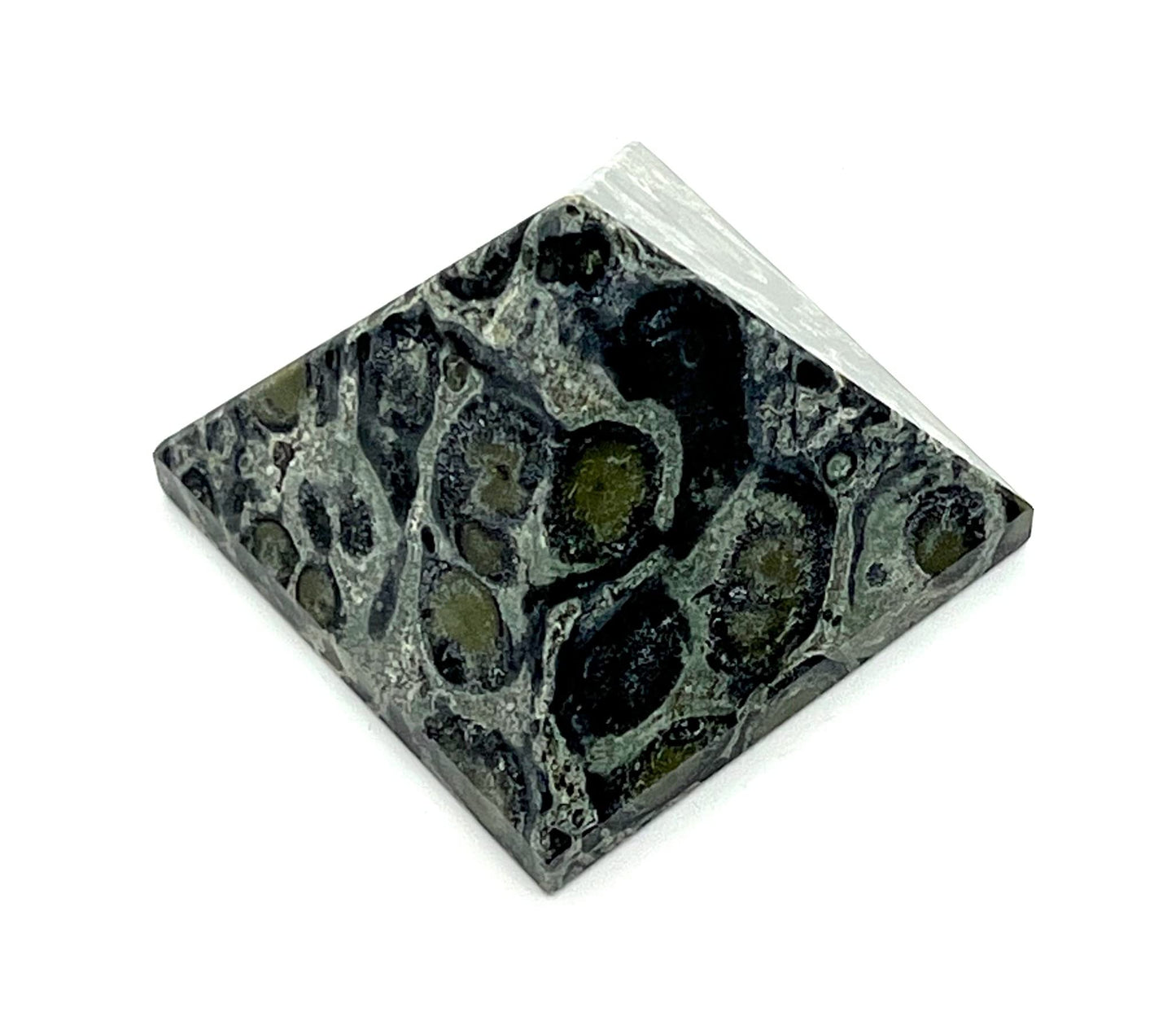 Kambaba Jasper Crystal Pyramid | 2-Inch Stone of Grounding | TATTVA Collection