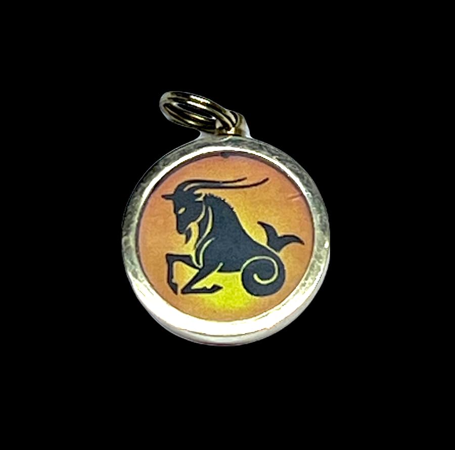Zodiac Constellation Pendant Necklace - Sun Sign Amulet - Rashi Yantra Pendant - 1 Inch Brass Pendant with Zodiac Yantra