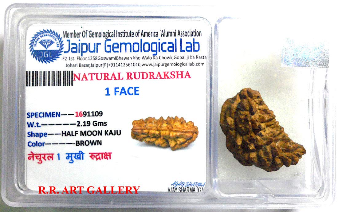 Certified 1 Mukhi (One Face) Rudraksha Bead - Birthstone for Capricorn - Astrological Sign: Leo - Crown Chakra