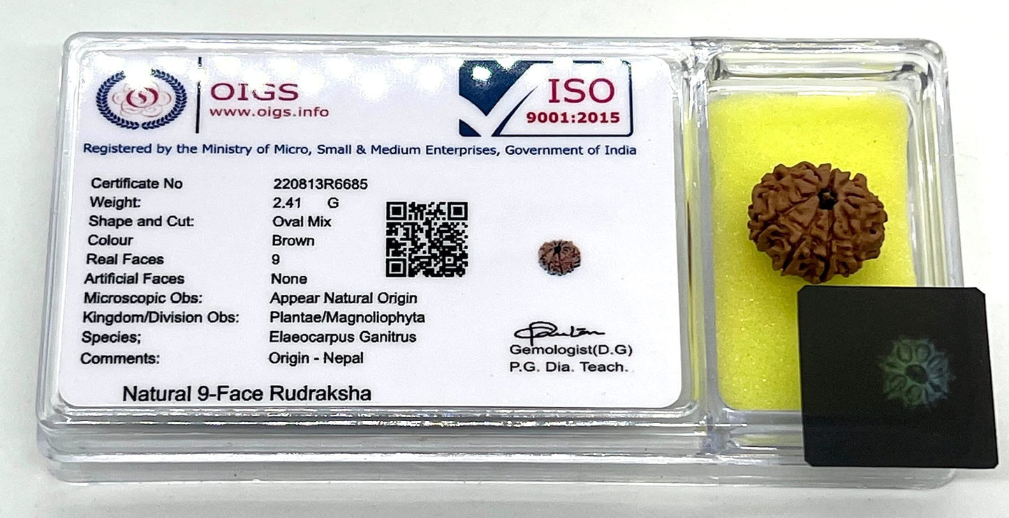 AwakenYourKundalini's Natural Rudraksha Beads (1,2,3,4,5,6,7,8,9,10,11,12,13,14 Faced) Original Rudraksha Beads Himalayan Origin Nepal Collections - Lab Certified - (9 Mukhi Faced)