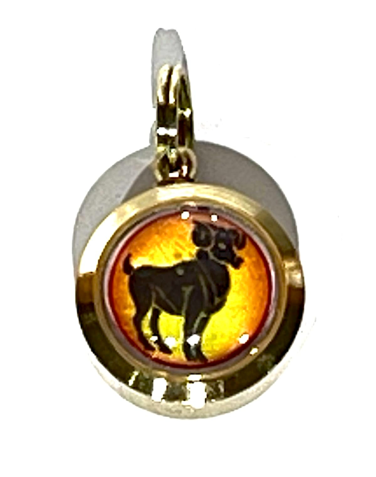 Zodiac Constellation Pendant Necklace - Sun Sign Amulet - Rashi Yantra Pendant - 3/4 Inch Brass Pendant with Zodiac Yantra