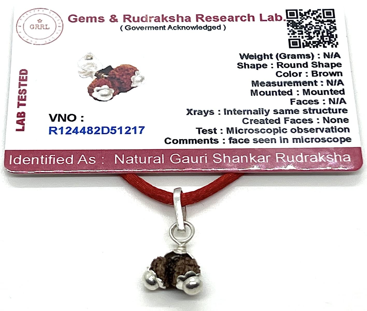Unveiling Harmony & Balance: Handmade Certified Gauri Shankar Rudraksha Pendant Necklace
