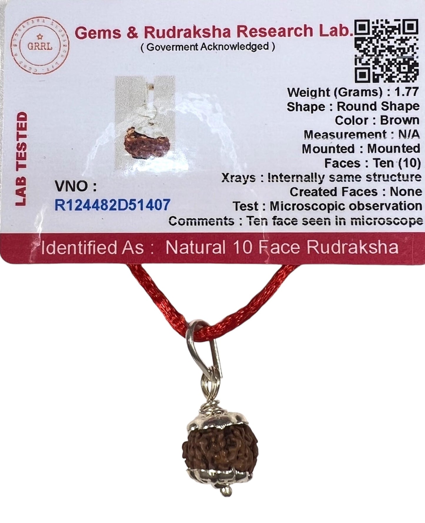 Certified 10 Mukhi Rudraksha Pendant Necklace (Ten Faces) - Embrace Strength & Harmony - Capricorn & Aquarius Birthstone - Solar Plexus Power