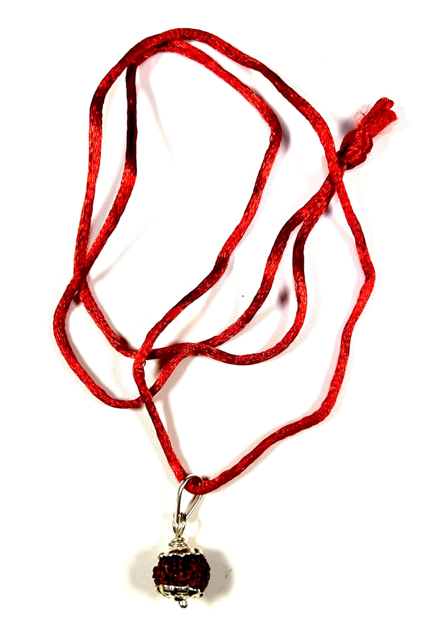 Certified 10 Mukhi Rudraksha Pendant Necklace (Ten Faces) - Embrace Strength & Harmony - Capricorn & Aquarius Birthstone - Solar Plexus Power