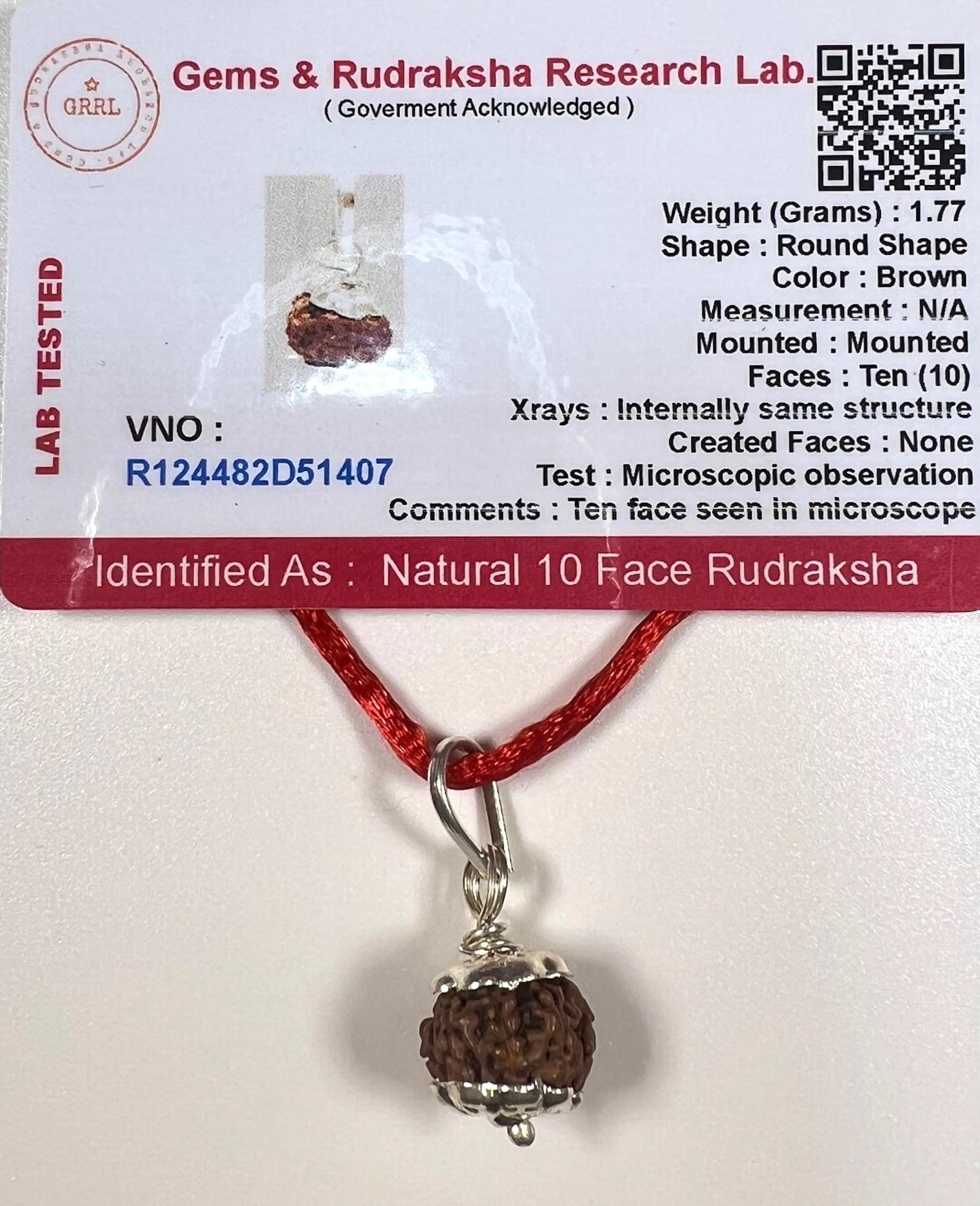 Certified 10 Mukhi Rudraksha Pendant Necklace (Ten Faces) - Embrace Strength & Harmony - Capricorn & Aquarius Birthstone - Solar Plexus Power