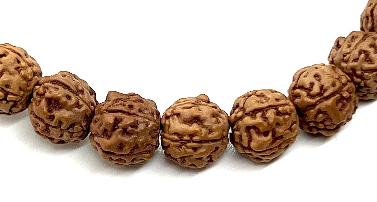 5 Mukhi Rudraksha Stretch Bracelet | 8mm Bead Size | 7.5 Inch Wrist Size | Sagittarius Birthstone