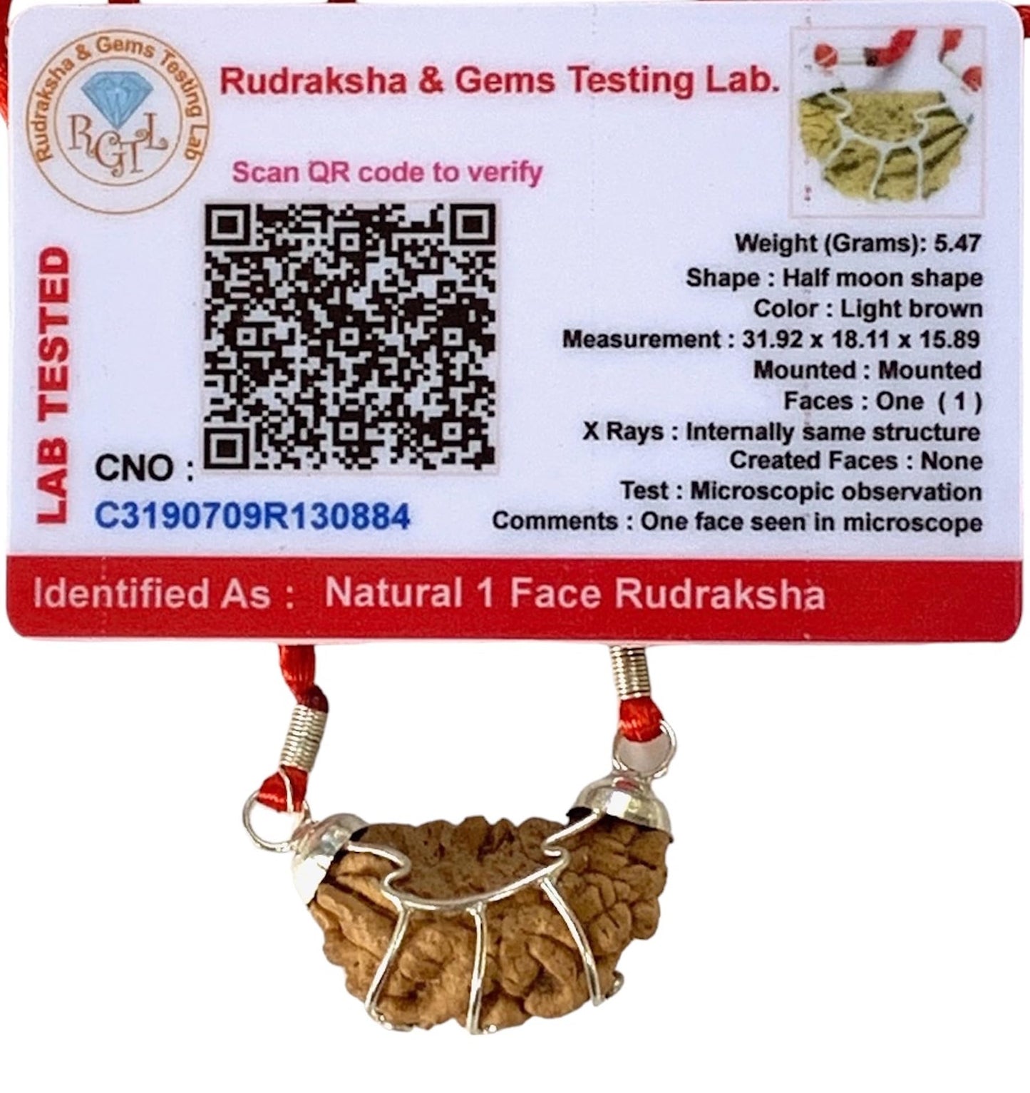 Certified 1 Mukhi Rudraksha (One Face) Rudraksh Bead Pendant Necklace – Peace, Success, Harmony, Power, Fame