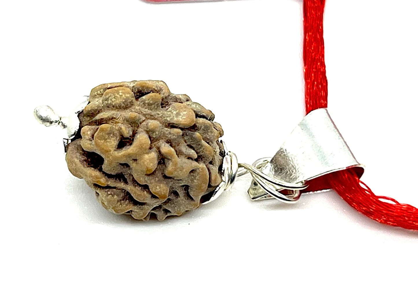 Certified 2 Mukhi Rudraksha Pendant Necklace (Two Faces) - Embrace Balance & Partnership