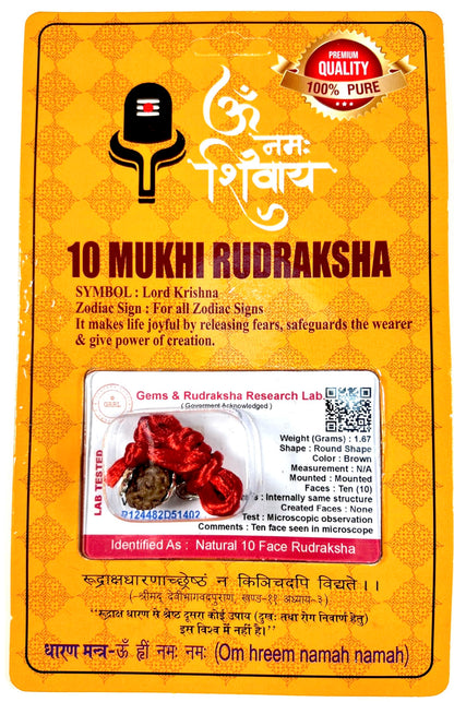 Certified 10 Mukhi Rudraksha Pendant Necklace (Ten Faces) - Embrace Strength & Harmony - Capricorn & Aquarius Birthstone - Solar Plexus Power
