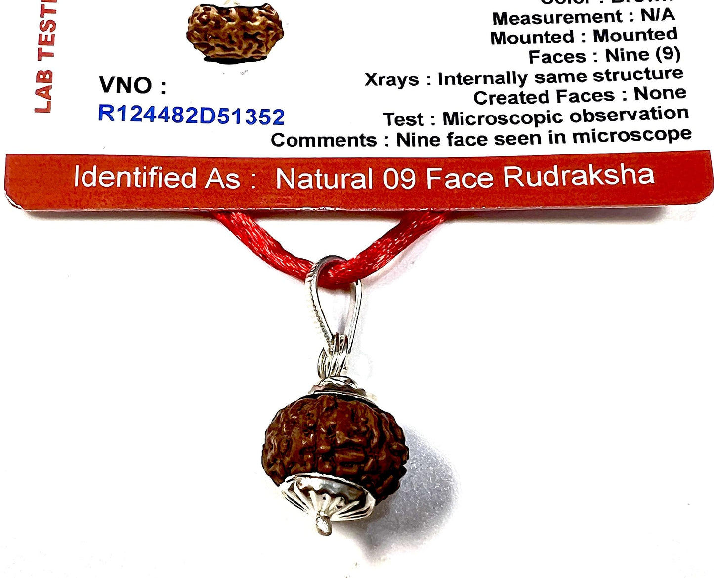 Certified 9 Mukhi Rudraksha Pendant Necklace (Nine Faces) - Embrace Harmony & Enlightenment
