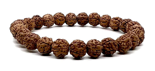 5 Mukhi Rudraksha Stretch Bracelet | 8mm Bead Size | 7.5 Inch Wrist Size | Sagittarius Birthstone