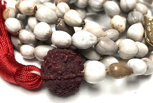 Vijayanti Vaijayanti mala beads necklace - Victory Mala 108 prayer beads for Laxmi Lakshmi Vishnu Krishna pooja puja - 5 mukhi (5 face) Rudraksha Rudraksh Guru bead - Awaken - w/Velvet Rosary pouch