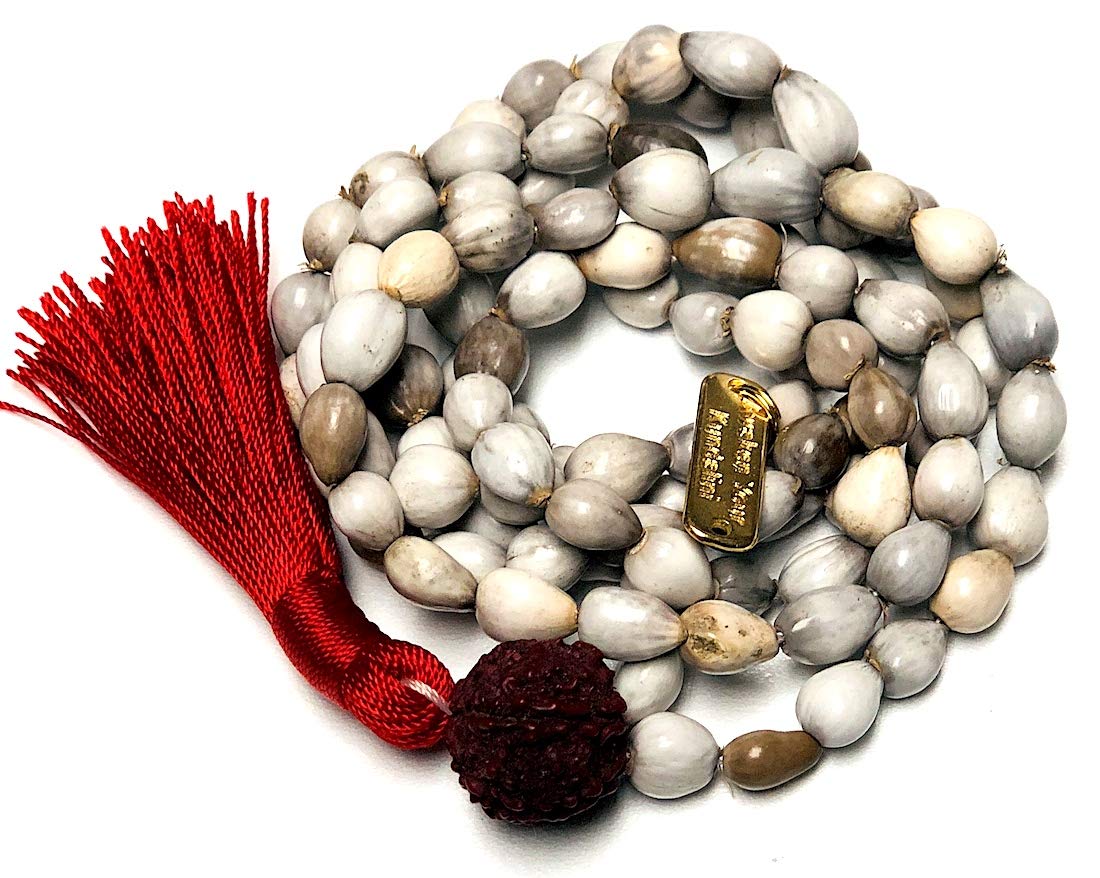 Vijayanti Vaijayanti mala beads necklace - Victory Mala 108 prayer beads for Laxmi Lakshmi Vishnu Krishna pooja puja - 5 mukhi (5 face) Rudraksha Rudraksh Guru bead - Awaken - w/Velvet Rosary pouch