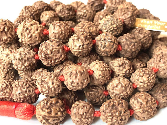 AWAKEN YOUR KUNDALINI Hand-Knotted 5 Mukhi Rudraksha Mala (10mm) - Wisdom & Inner Peace - Crown Chakra Alignment, Capricorn Sun Sign
