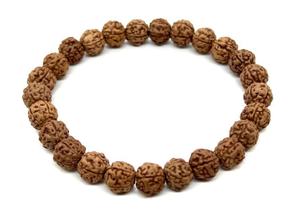 5 Mukhi Rudraksha Stretch Bracelet | 8mm Bead Size | 7.5 Inch Wrist Size | Sagittarius Birthstone