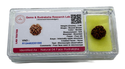 Certified 4 Mukhi (Four Faces) Rudraksha Bead, Real Rudraksh, Throat Chakra, Universal Sun Sign