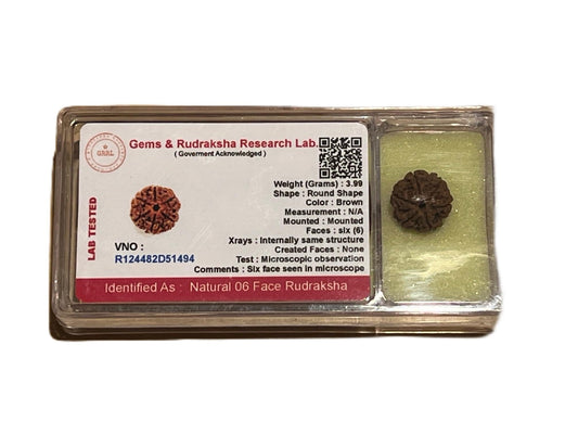 Certified 6 Mukhi Rudraksha Bead, Six Faces Rudraksh, Libra Sun Sign, Sacral Chakra