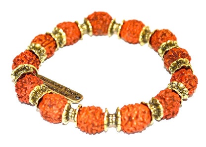 Find balance and focus with 5 mukhi rudraksha rudraksh stretch bracelet (10mm), root chakra balancing
