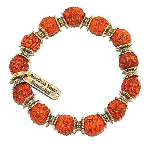 Find balance and focus with 5 mukhi rudraksha rudraksh stretch bracelet (10mm), root chakra balancing