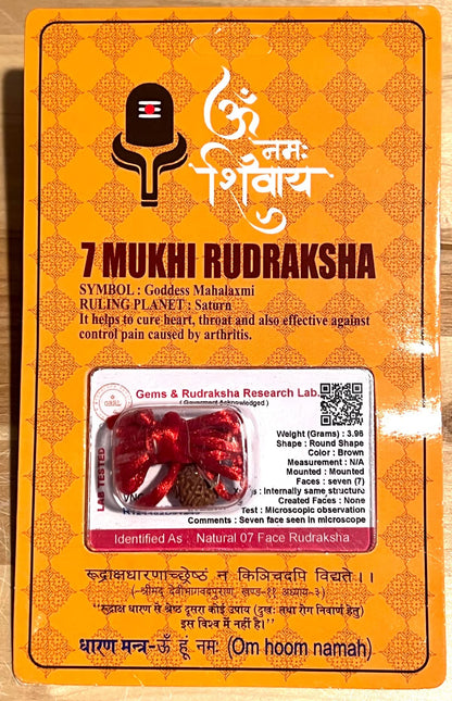 Embrace Inner Strength & Wisdom - Handmade Certified 7 Mukhi Rudraksha Pendant Necklace - Crown Chakra Alignment