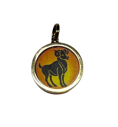 Zodiac Constellation Pendant Necklace - Sun Sign Amulet - Rashi Yantra Pendant - 1 Inch Brass Pendant with Zodiac Yantra