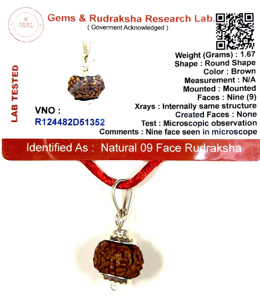 Certified 9 Mukhi Rudraksha Pendant Necklace (Nine Faces) - Embrace Harmony & Enlightenment