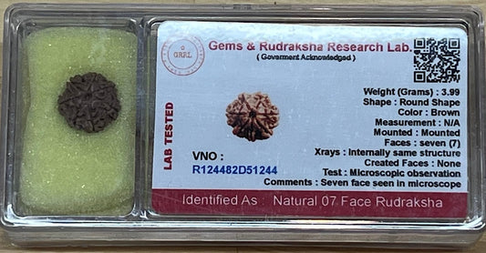 Empowering 7 Mukhi Rudraksha Bead, Universal Sun Sign, Root Chakra