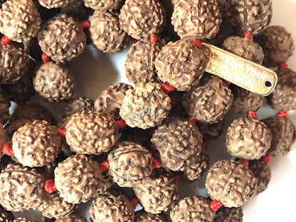 AWAKEN YOUR KUNDALINI Hand-Knotted 5 Mukhi Rudraksha Mala (10mm) - Wisdom & Inner Peace - Crown Chakra Alignment, Capricorn Sun Sign