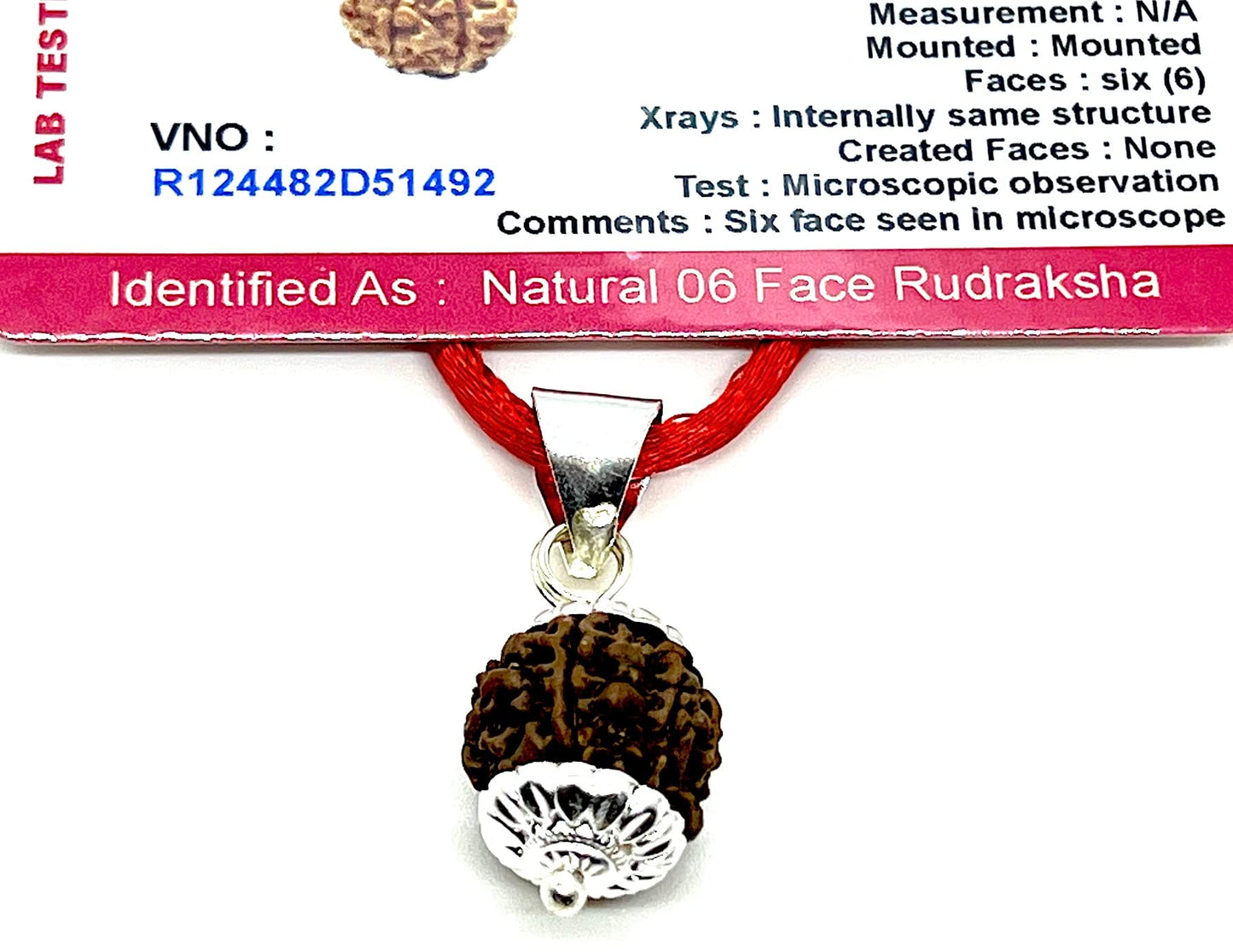 Embrace Harmony & Overcoming Challenges: Handmade Certified 6 Mukhi Rudraksha Pendant Necklace - Virgo Birthstone - Third Eye Chakra Alignment