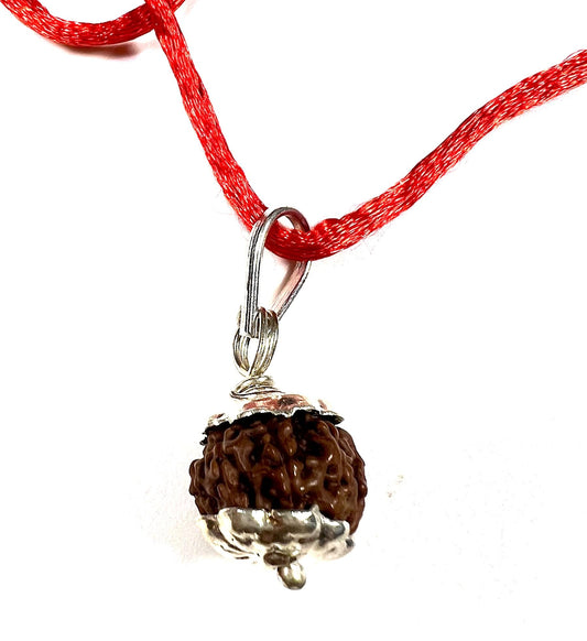 Certified 10 Mukhi Rudraksha Pendant Necklace (Ten Faces) - Embrace Strength & Harmony - Capricorn & Aquarius Birthstone - Solar Plexus Power
