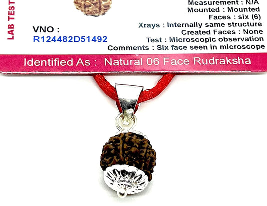 Embrace Harmony & Overcoming Challenges: Handmade Certified 6 Mukhi Rudraksha Pendant Necklace - Virgo Birthstone - Third Eye Chakra Alignment