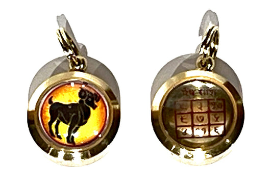 Zodiac Constellation Pendant Necklace - Sun Sign Amulet - Rashi Yantra Pendant - 3/4 Inch Brass Pendant with Zodiac Yantra
