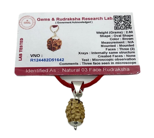 Embrace Creativity & Positivity: Handmade Certified 3 Mukhi Rudraksha Pendant Necklace - Cancer Birthstone - Solar Plexus & Sacral Chakra Alignment