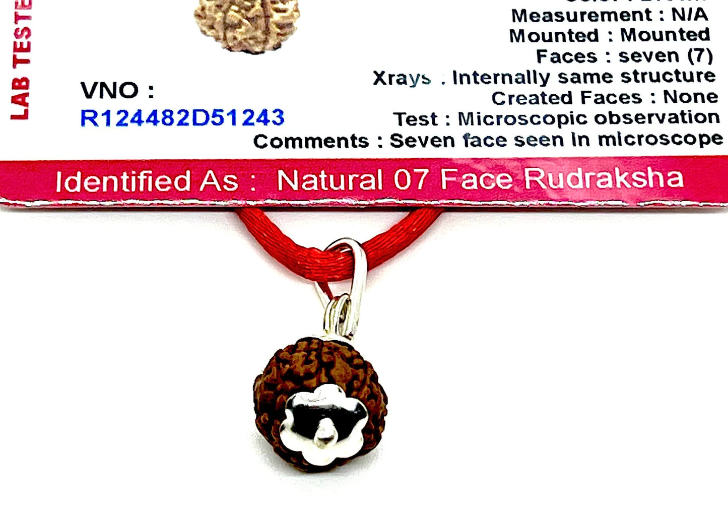 Embrace Inner Strength & Wisdom - Handmade Certified 7 Mukhi Rudraksha Pendant Necklace - Crown Chakra Alignment