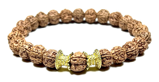 AWAKEN YOUR KUNDALINI Rudraksha Stretch Bracelet - AAA Grade 8mm Chikna Pathri Rudraksh Beads - Cultivate Strength & Stability - Universal Birthstone & Root Chakra Balance